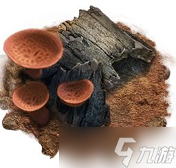 《小小蟻國》工蟻作用介紹