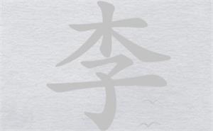 離譜的漢字李找15個字攻略詳解