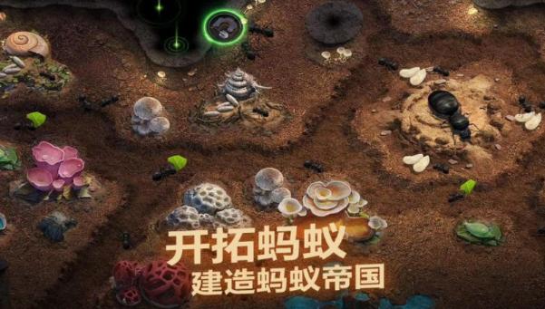 《小小蟻國》兵種搭配攻略