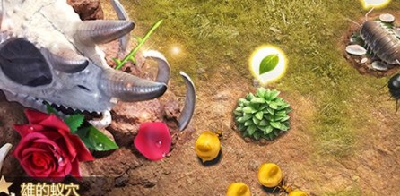 小小蟻國前期橙色特化蟻培養(yǎng)攻略