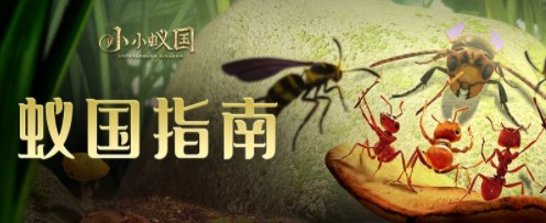 小小蟻國新手開局發(fā)展攻略