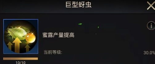 《小小蟻國》初期進化類型選擇推薦