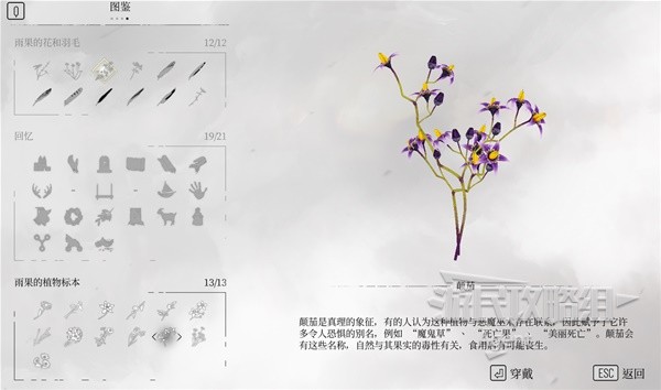 開服表游戲