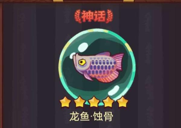 《咸魚(yú)之王》龍魚(yú)蝕骨搭配推薦