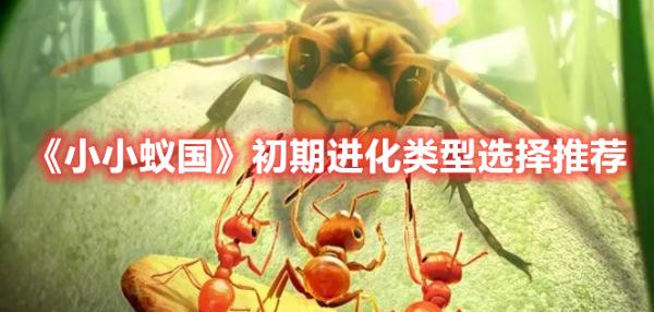 《小小蟻國》初期進化類型選擇推薦