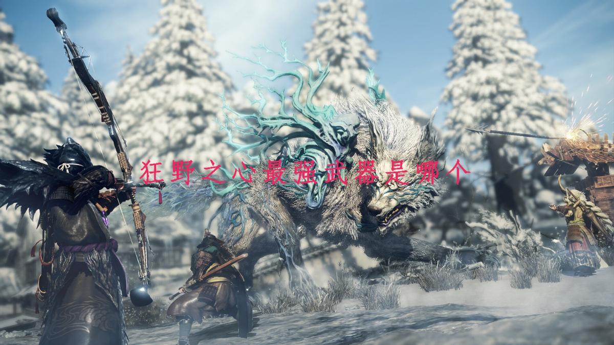 狂野之心海報圖