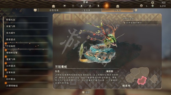 開服表游戲