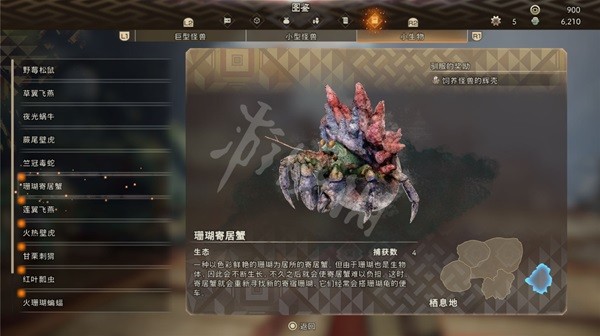 開服表游戲