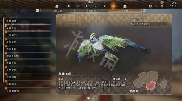開服表游戲
