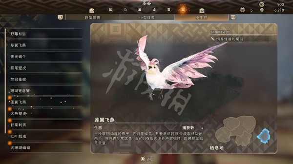 開服表游戲