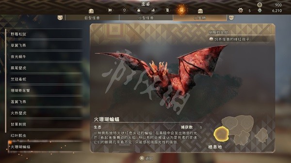 開服表游戲