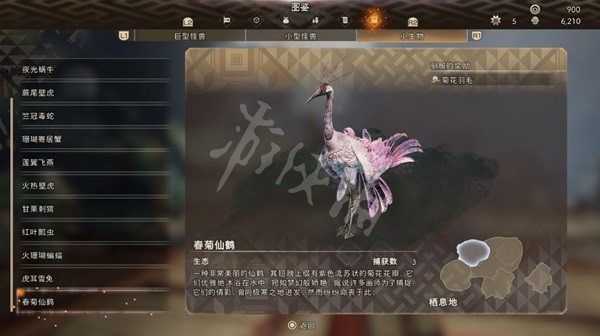 開服表游戲