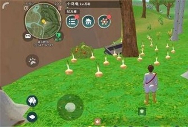 開服表游戲寶典