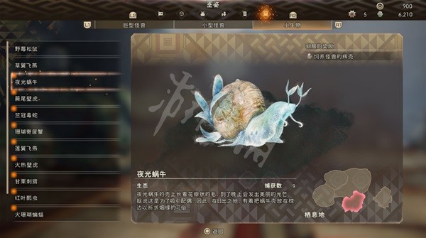 開服表游戲