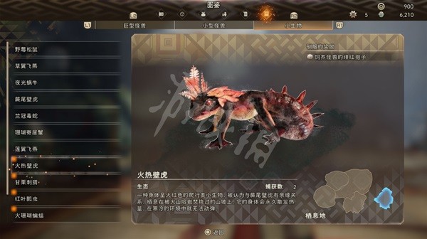 開服表游戲