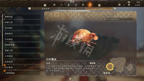 開服表游戲