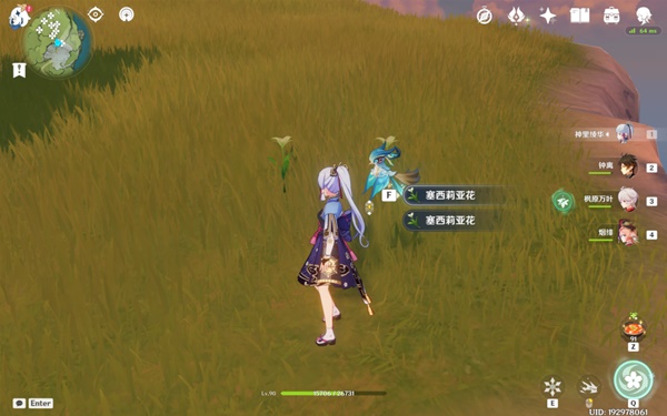 開服表游戲