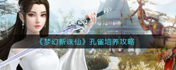 《夢幻新誅仙》孔雀培養(yǎng)攻略