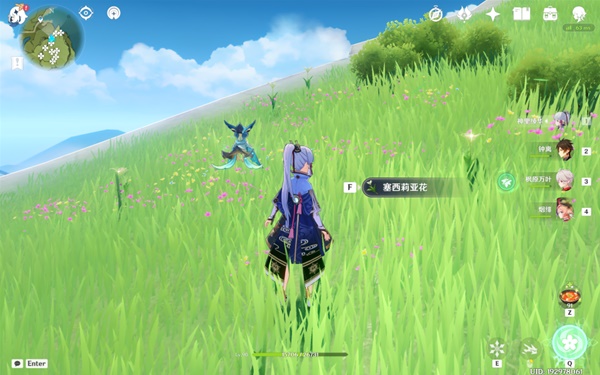 開服表游戲