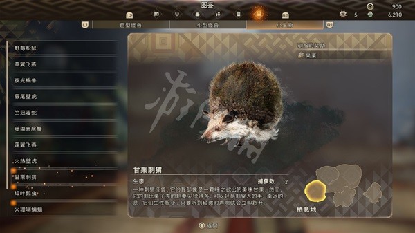 開服表游戲