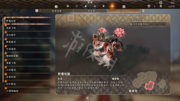 開服表游戲