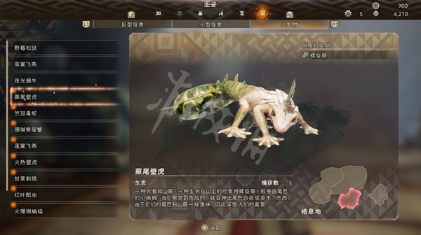 開服表游戲